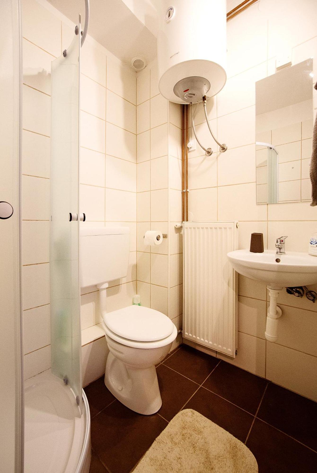 Sweet Apartments With Free Private Parking Ljubljana Rum bild